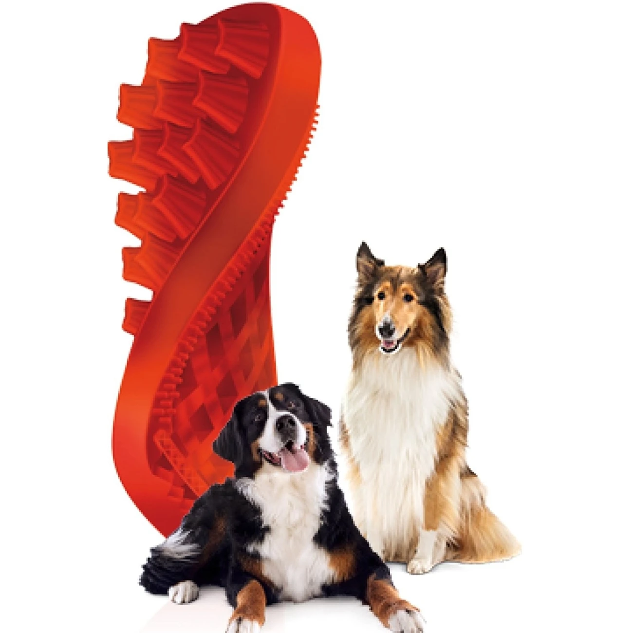 Pet+me Reinigungsbürste Massagebürste Für Haustiere 8 Pet+me Reinigungsbürste Massagebürste Für Haustiere – Bild 8