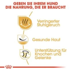 Royal Canin Bulldog Adult Hundefutter Trocken -Angebote Hundenass Futter Store royal canin bulldog adult hundefutter trocken 1565622719