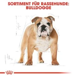 Royal Canin Bulldog Adult Hundefutter Trocken -Angebote Hundenass Futter Store royal canin bulldog adult hundefutter trocken 1565622723