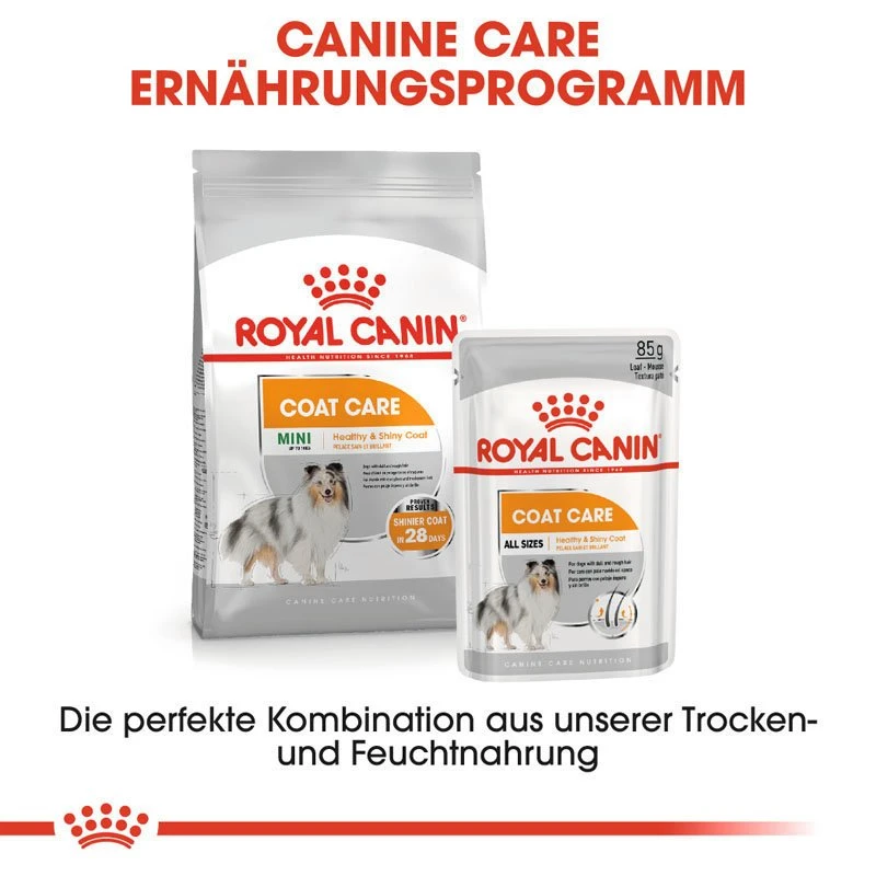 Royal Canin CCN Coat Care Nassfutter Für Glänzendes Fell 8 Royal Canin CCN Coat Care Nassfutter Für Glänzendes Fell – Bild 8