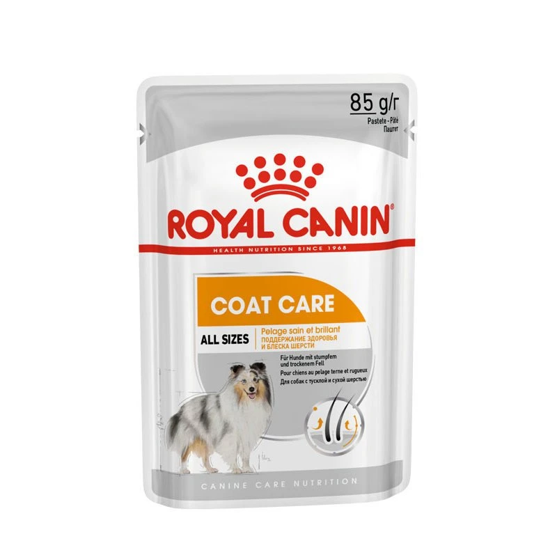 Royal Canin CCN Coat Care Nassfutter Für Glänzendes Fell 1 Royal Canin CCN Coat Care Nassfutter Für Glänzendes Fell