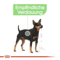 Royal Canin CCN Digestive Care Nassfutter Für Hunde Mit Empfindlicher Verdauung -Angebote Hundenass Futter Store royal canin ccn digestive care nassfutter fuer hunde 1560943881