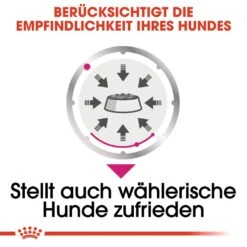 Royal Canin CCN Exigent Nassfutter Für Wählerische Hunde -Angebote Hundenass Futter Store royal canin ccn exigent nassfutter fuer hunde 1560944573