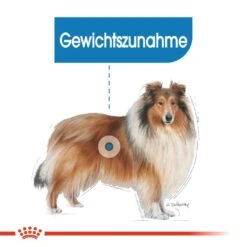 Royal Canin CCN Light Weight Care Maxi Trockenfutter Für Große Hunde Mit Neigung Zu Übergewicht -Angebote Hundenass Futter Store royal canin ccn light weight care maxi hundefutter 1560948459