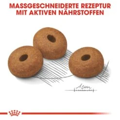 Royal Canin CCN Light Weight Care Maxi Trockenfutter Für Große Hunde Mit Neigung Zu Übergewicht -Angebote Hundenass Futter Store royal canin ccn light weight care maxi hundefutter 1560948463