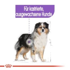 Royal Canin CCN Sterilised Medium Trockenfutter Für Kastrierte Mittelgroße Hunde -Angebote Hundenass Futter Store royal canin ccn sterilised medium hundefutter 1560953768