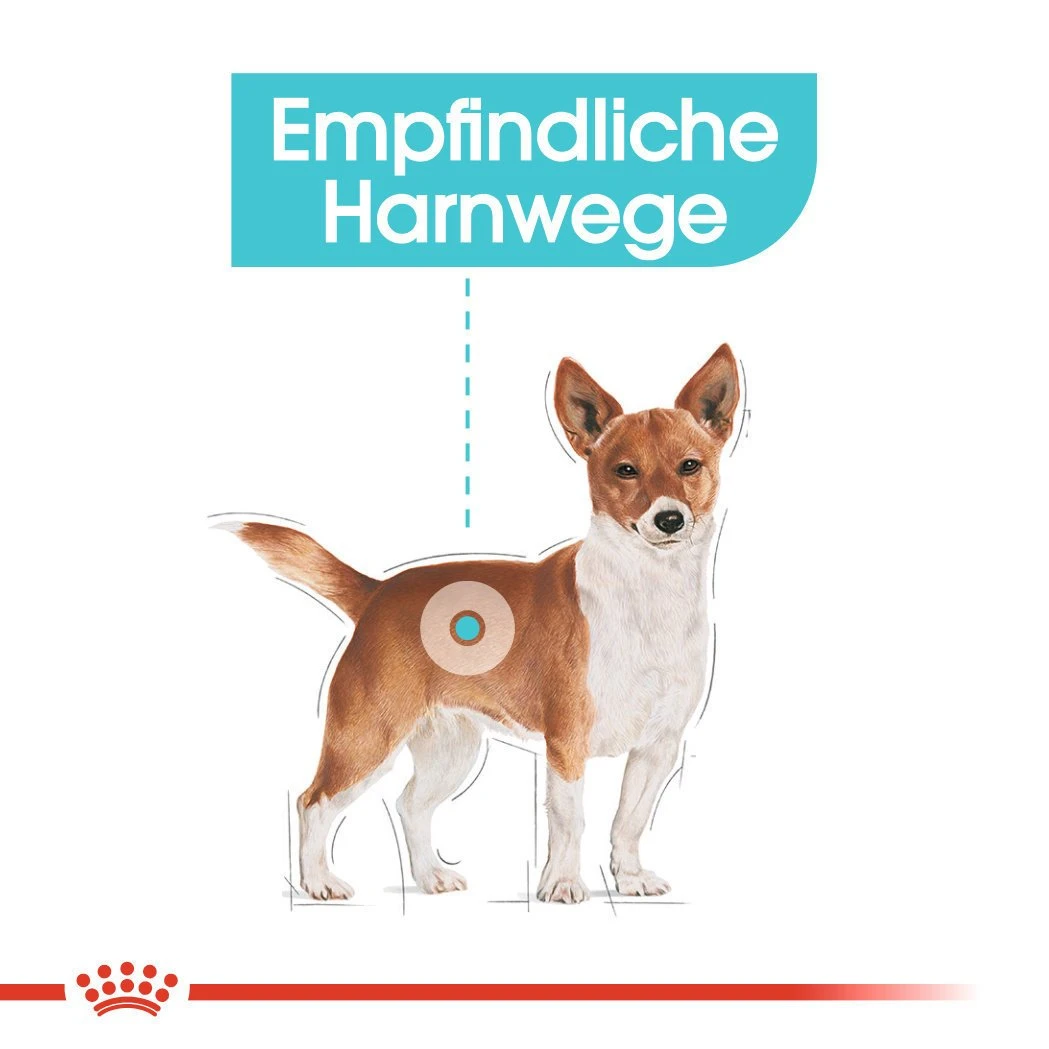 Royal Canin CCN Urinary Care Nassfutter Für Hunde Mit Empfindlichen Harnwegen 5 Royal Canin CCN Urinary Care Nassfutter Für Hunde Mit Empfindlichen Harnwegen – Bild 5