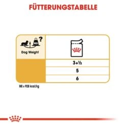 Royal Canin Dachshund Adult Hundefutter Nass Für Dackel 14 Royal Canin Dachshund Adult Hundefutter Nass Für Dackel -Angebote Hundenass Futter Store royal canin dachshund adult hundefutter nass fuer dackel 1565685879