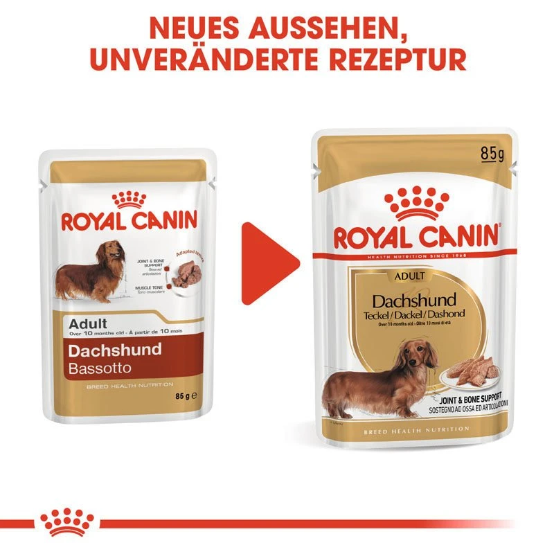Royal Canin Dachshund Adult Hundefutter Nass Für Dackel 8 Royal Canin Dachshund Adult Hundefutter Nass Für Dackel – Bild 8