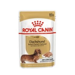 Royal Canin Dachshund Adult Hundefutter Nass Für Dackel