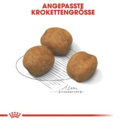 Royal Canin Giant Puppy Welpenfutter 10 Royal Canin Giant Puppy Welpenfutter -Angebote Hundenass Futter Store royal canin giant puppy welpenfutter trocken fuer sehr grosse hunde 1565707478