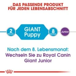 Royal Canin Giant Puppy Welpenfutter 11 Royal Canin Giant Puppy Welpenfutter -Angebote Hundenass Futter Store royal canin giant puppy welpenfutter trocken fuer sehr grosse hunde 1565707480