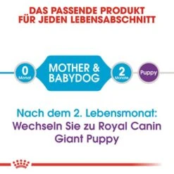 Royal Canin Giant Starter Für Tragende Hündin Und Welpen -Angebote Hundenass Futter Store royal canin giant starter fuer tragende huendin und welpen 1565707811