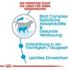 Royal Canin Giant Starter Für Tragende Hündin Und Welpen -Angebote Hundenass Futter Store royal canin giant starter fuer tragende huendin und welpen 1565707817