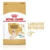 Royal Canin Labrador Retriver Trockenfutter 5+