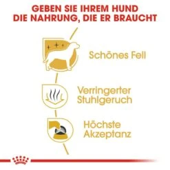 Royal Canin Maltese Adult Hundefutter Trocken 10 Royal Canin Maltese Adult Hundefutter Trocken -Angebote Hundenass Futter Store royal canin maltese adult hundefutter trocken 1565602402