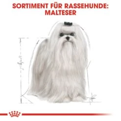 Royal Canin Maltese Adult Hundefutter Trocken 11 Royal Canin Maltese Adult Hundefutter Trocken -Angebote Hundenass Futter Store royal canin maltese adult hundefutter trocken 1565602406
