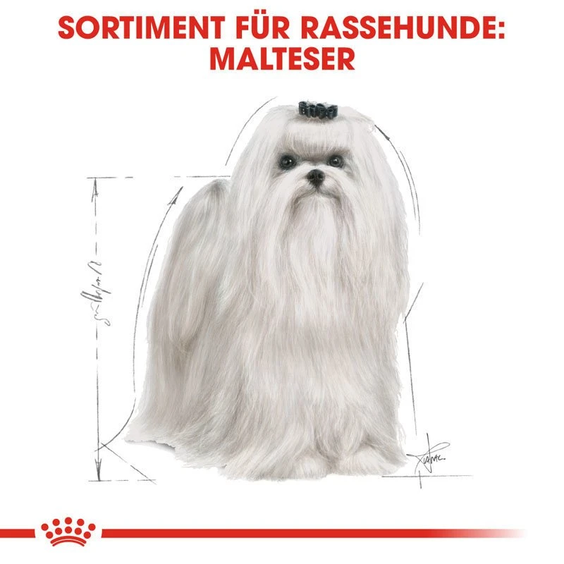 Royal Canin Maltese Adult Hundefutter Trocken 4 Royal Canin Maltese Adult Hundefutter Trocken – Bild 4