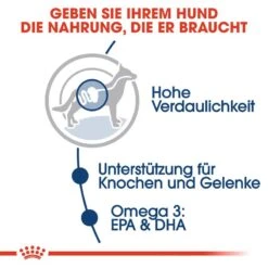 Royal Canin Maxi Adult Nassfutter Für Große Hunde 8 Royal Canin Maxi Adult Nassfutter Für Große Hunde -Angebote Hundenass Futter Store royal canin maxi adult nassfutter fuer grosse hunde 1565792754