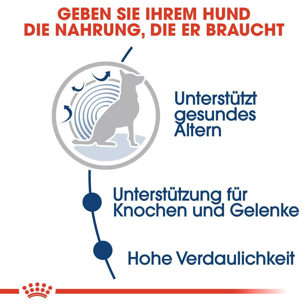 Royal Canin Maxi Ageing 8+ Nassfutter Für ältere Große Hunde 3 Royal Canin Maxi Ageing 8+ Nassfutter Für ältere Große Hunde – Bild 3