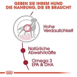 Royal Canin Medium Adult Nassfutter Für Mittelgroße Hunde 10 Royal Canin Medium Adult Nassfutter Für Mittelgroße Hunde -Angebote Hundenass Futter Store royal canin medium adult nassfutter fuer mittelgrosse hunde 1565792525