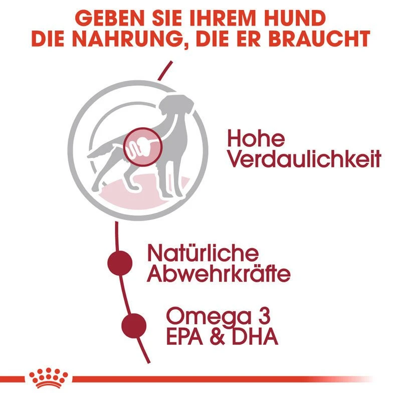 Royal Canin Medium Adult Nassfutter Für Mittelgroße Hunde 3 Royal Canin Medium Adult Nassfutter Für Mittelgroße Hunde – Bild 3