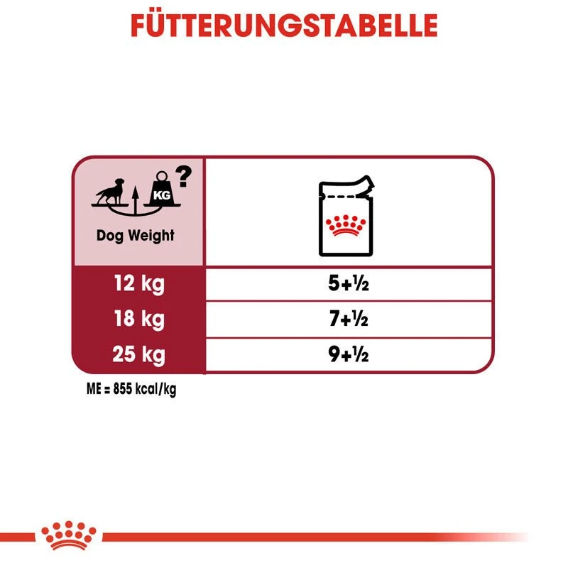 Royal Canin Medium Adult Nassfutter Für Mittelgroße Hunde 7 Royal Canin Medium Adult Nassfutter Für Mittelgroße Hunde – Bild 7