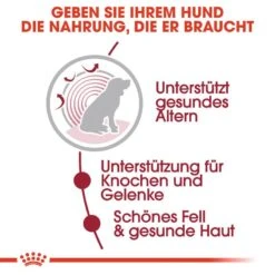 Royal Canin Medium Ageing 10+ Nassfutter Für ältere Mittelgroße Hunde -Angebote Hundenass Futter Store royal canin medium ageing 10 nassfutter fuer aeltere mittelgrosse hunde 1566212989