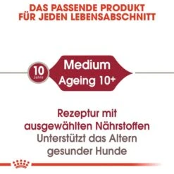 Royal Canin Medium Ageing 10+ Nassfutter Für ältere Mittelgroße Hunde -Angebote Hundenass Futter Store royal canin medium ageing 10 nassfutter fuer aeltere mittelgrosse hunde 1566212995