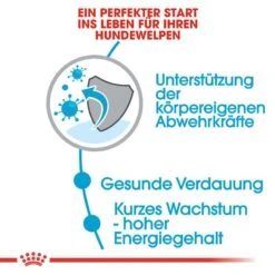 Royal Canin Medium Puppy Welpenfutter -Angebote Hundenass Futter Store royal canin medium puppy welpenfutter trocken fuer mittelgrosse hunde 1565770157