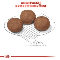 Royal Canin Medium Puppy Welpenfutter -Angebote Hundenass Futter Store royal canin medium puppy welpenfutter trocken fuer mittelgrosse hunde 1565770161