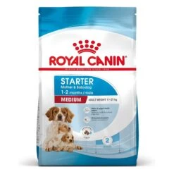 Royal Canin Medium Starter Für Tragende Hündin Und Welpen