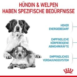 Royal Canin Medium Starter Für Tragende Hündin Und Welpen -Angebote Hundenass Futter Store royal canin medium starter fuer tragende huendin und welpen 1650896608