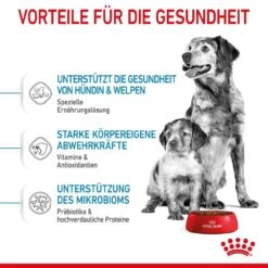 Royal Canin Medium Starter Für Tragende Hündin Und Welpen -Angebote Hundenass Futter Store royal canin medium starter fuer tragende huendin und welpen 1650896611
