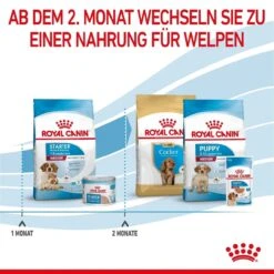 Royal Canin Medium Starter Für Tragende Hündin Und Welpen -Angebote Hundenass Futter Store royal canin medium starter fuer tragende huendin und welpen 1650896617