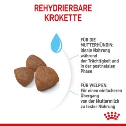 Royal Canin Medium Starter Für Tragende Hündin Und Welpen -Angebote Hundenass Futter Store royal canin medium starter fuer tragende huendin und welpen 1650896620