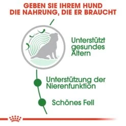Royal Canin Mini Ageing 12+ Nassfutter Für ältere Kleine Hunde 10 Royal Canin Mini Ageing 12+ Nassfutter Für ältere Kleine Hunde -Angebote Hundenass Futter Store royal canin mini ageing 12 nassfutter fuer aeltere kleine hunde 1566212007