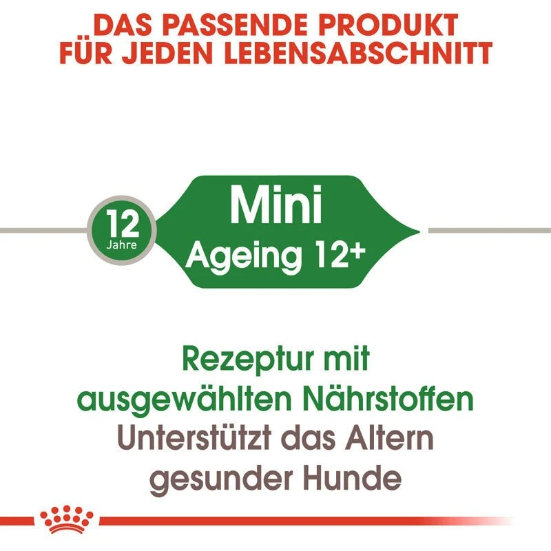 Royal Canin Mini Ageing 12+ Nassfutter Für ältere Kleine Hunde 5 Royal Canin Mini Ageing 12+ Nassfutter Für ältere Kleine Hunde – Bild 5