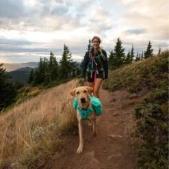 Ruffwear Switchbak Hundeleine Zum Umhängen -Angebote Hundenass Futter Store ruffwear switchbak hundeleine zum umhaengen 1664191778