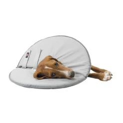 TRIXIE Schutzkragen Für Hunde Leckschutz -Angebote Hundenass Futter Store schutzkragen fuer hunde leckschutz 1551452895