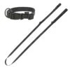 GoLeyGo Set 2.0 Flat Halsband + Leine