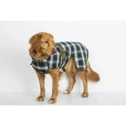 SICCARO Hundebademantel WetDog Splash 18 SICCARO Hundebademantel WetDog Splash -Angebote Hundenass Futter Store siccaro hundebademantel wetdog splash 1529586915