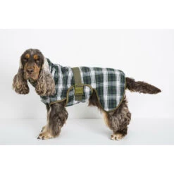 SICCARO Hundebademantel WetDog Splash