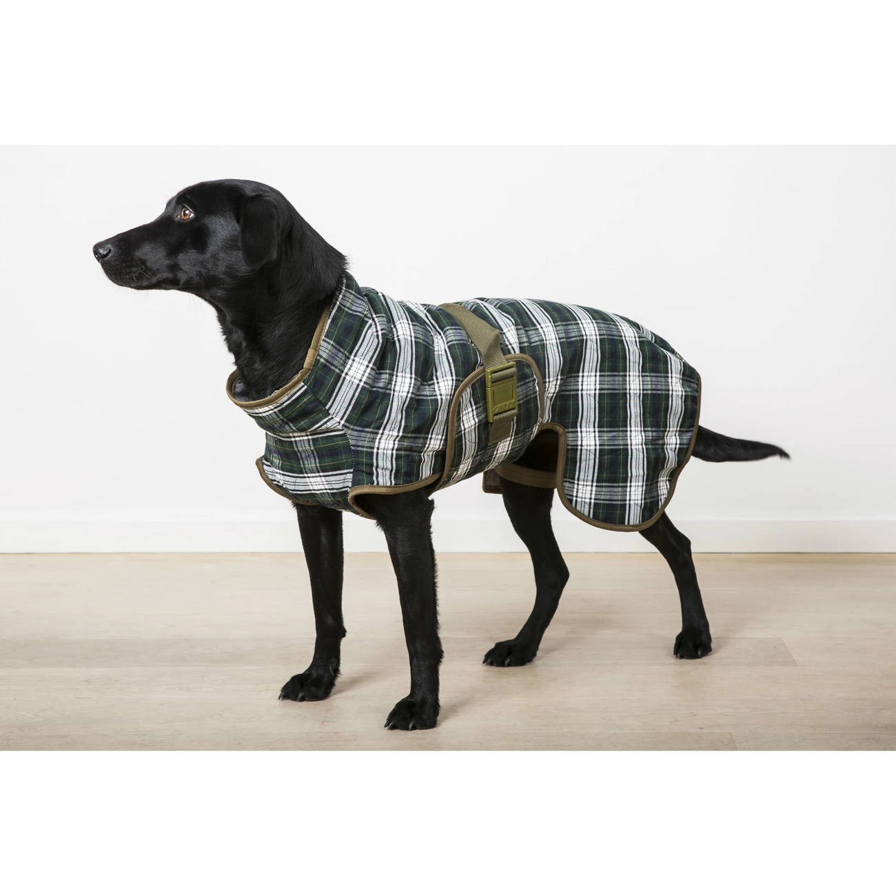 SICCARO Hundebademantel WetDog Splash 7 SICCARO Hundebademantel WetDog Splash – Bild 7