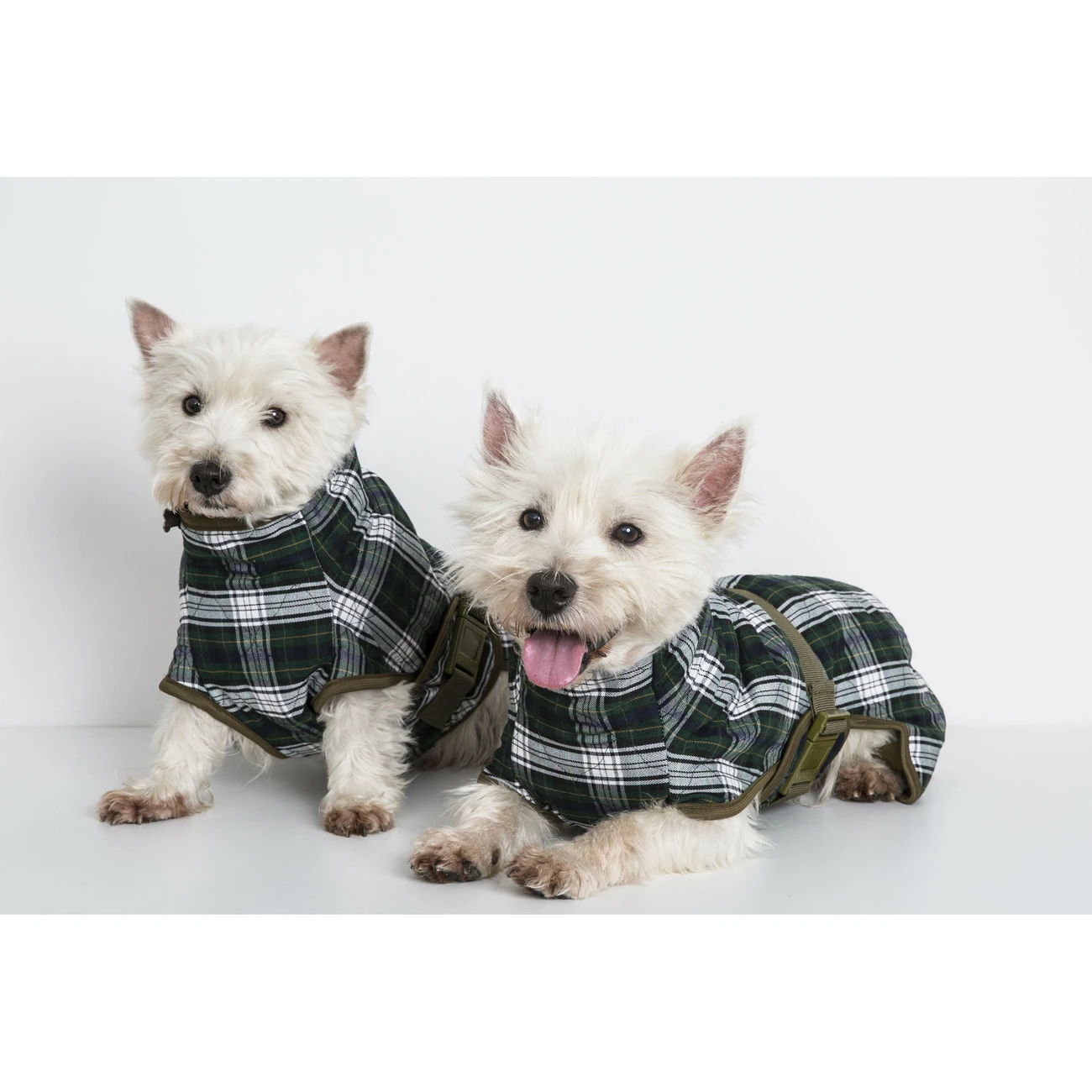 SICCARO Hundebademantel WetDog Splash 8 SICCARO Hundebademantel WetDog Splash – Bild 8