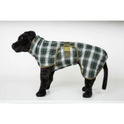 SICCARO Hundebademantel WetDog Splash 22 SICCARO Hundebademantel WetDog Splash -Angebote Hundenass Futter Store siccaro hundebademantel wetdog splash 1529586949