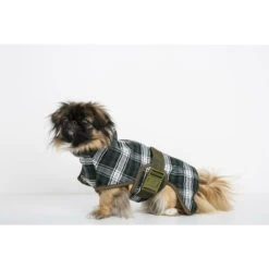 SICCARO Hundebademantel WetDog Splash 23 SICCARO Hundebademantel WetDog Splash -Angebote Hundenass Futter Store siccaro hundebademantel wetdog splash 1529586954