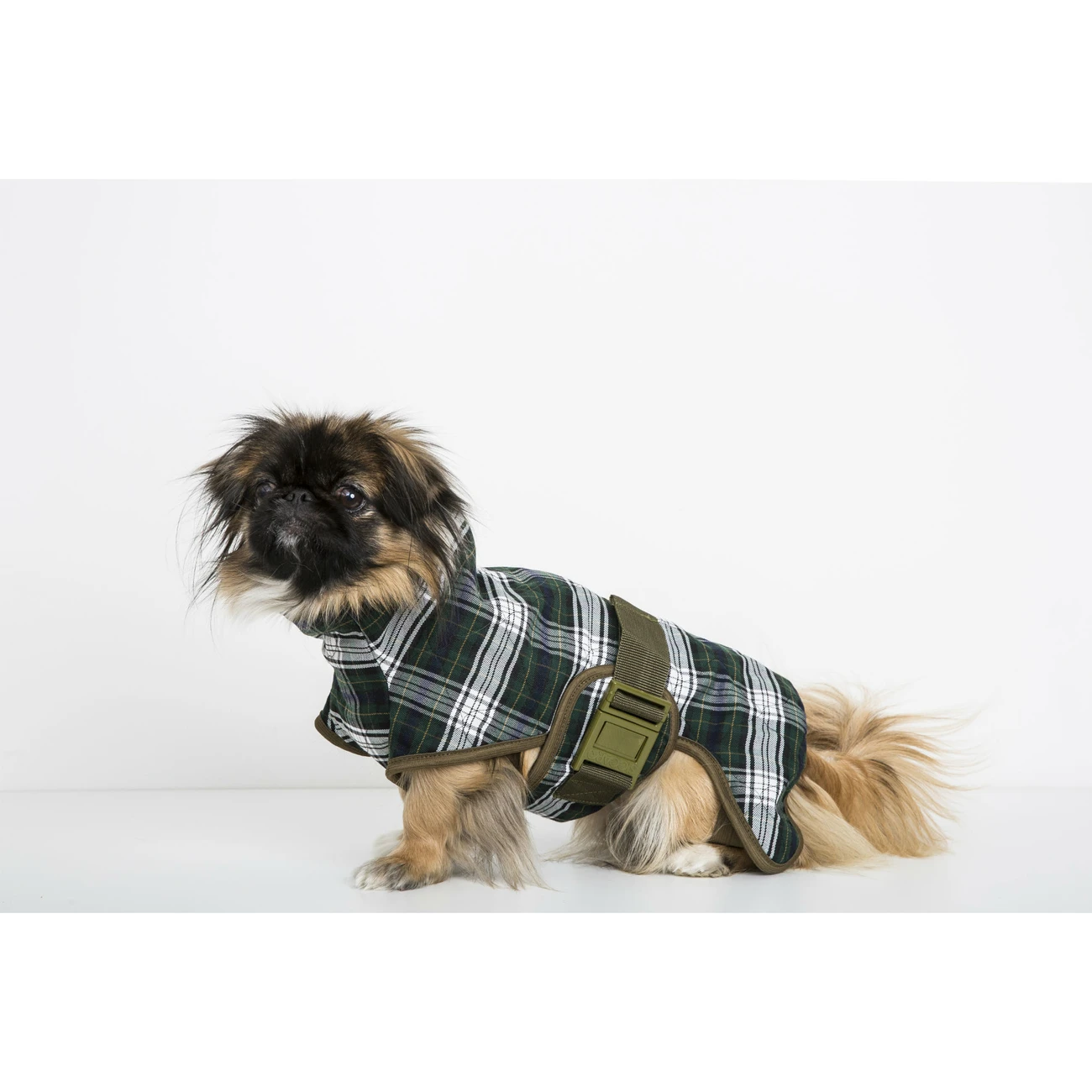 SICCARO Hundebademantel WetDog Splash 11 SICCARO Hundebademantel WetDog Splash – Bild 11