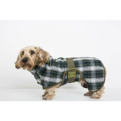 SICCARO Hundebademantel WetDog Splash 24 SICCARO Hundebademantel WetDog Splash -Angebote Hundenass Futter Store siccaro hundebademantel wetdog splash 1529586960