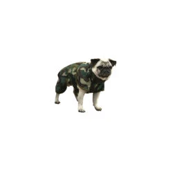 SICCARO Hundemantel WetDog Spirit 17 SICCARO Hundemantel WetDog Spirit -Angebote Hundenass Futter Store siccaro hundemantel wetdog spirit 1529586070